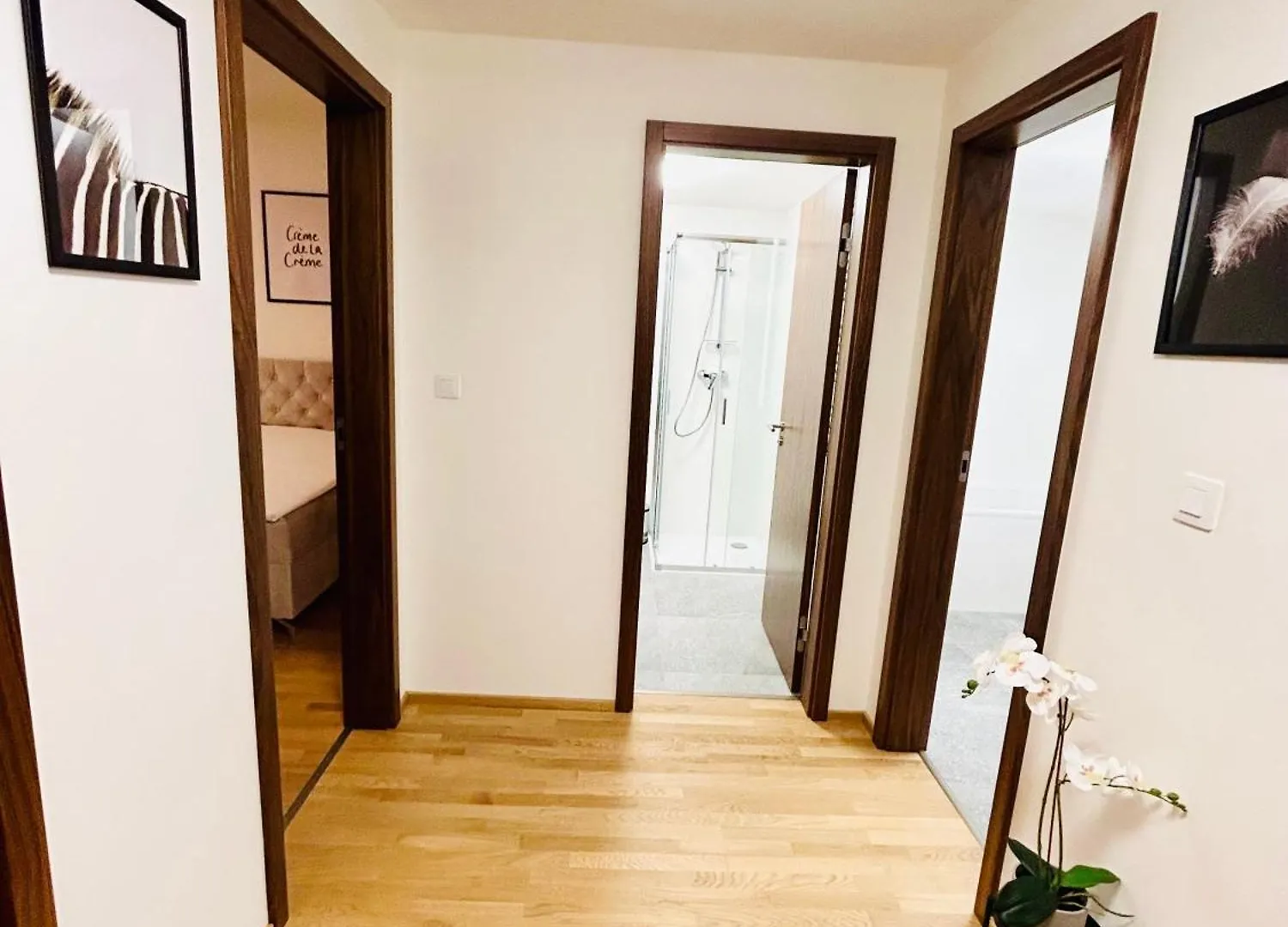 New Luxury Apartmen At Andel Metro Station Prague Czech Republic